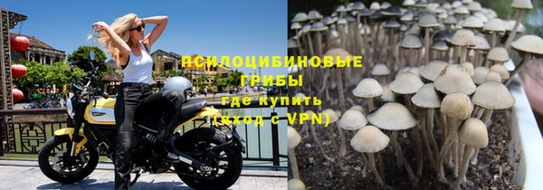 дурь Балахна