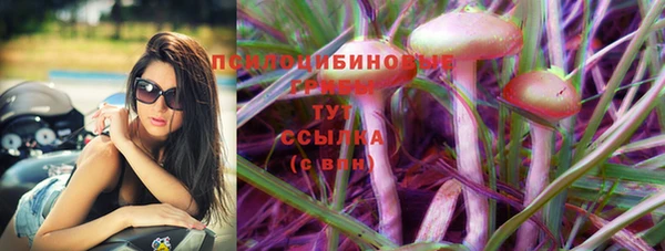 дурь Балахна