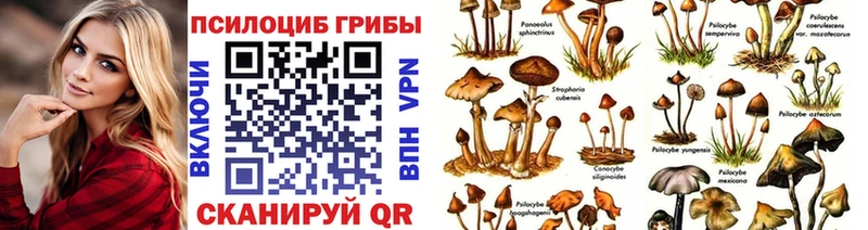 Галлюциногенные грибы мухоморы  Верхняя Салда 