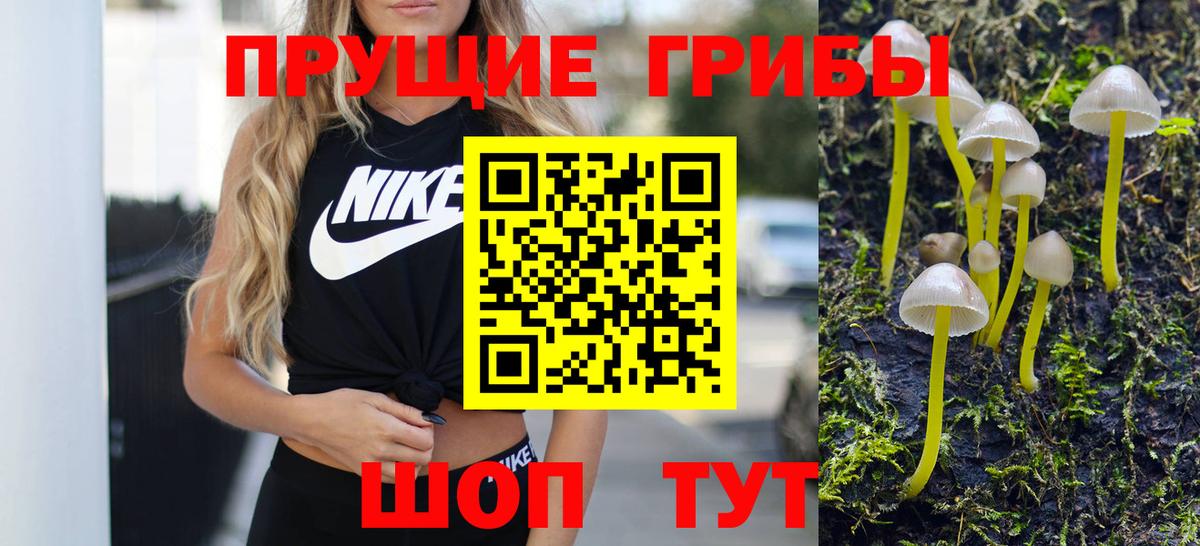 Псилоцибиновые грибы MAGIC MUSHROOMS Верхняя Салда
